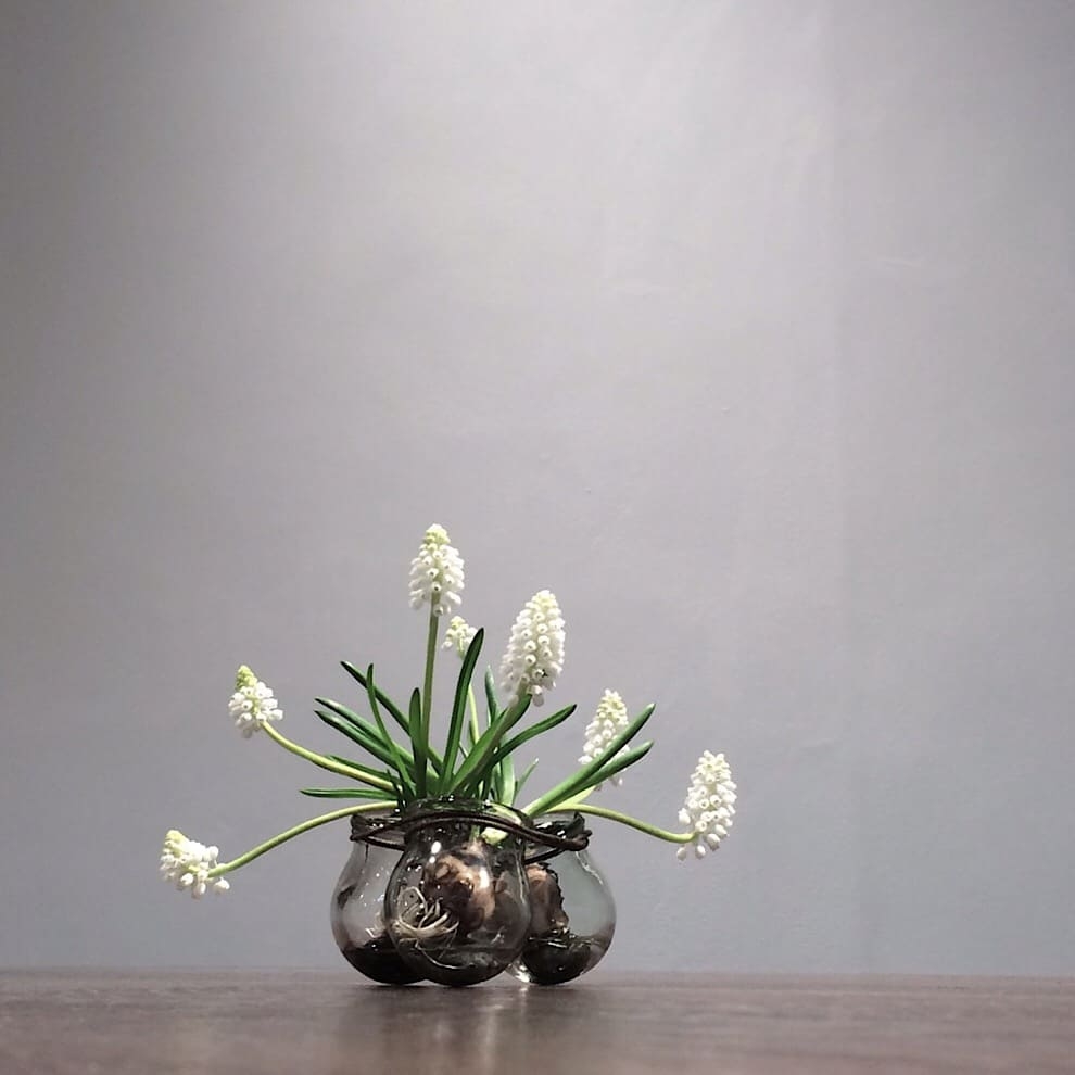 19ss_journal_yamagami_07.jpg