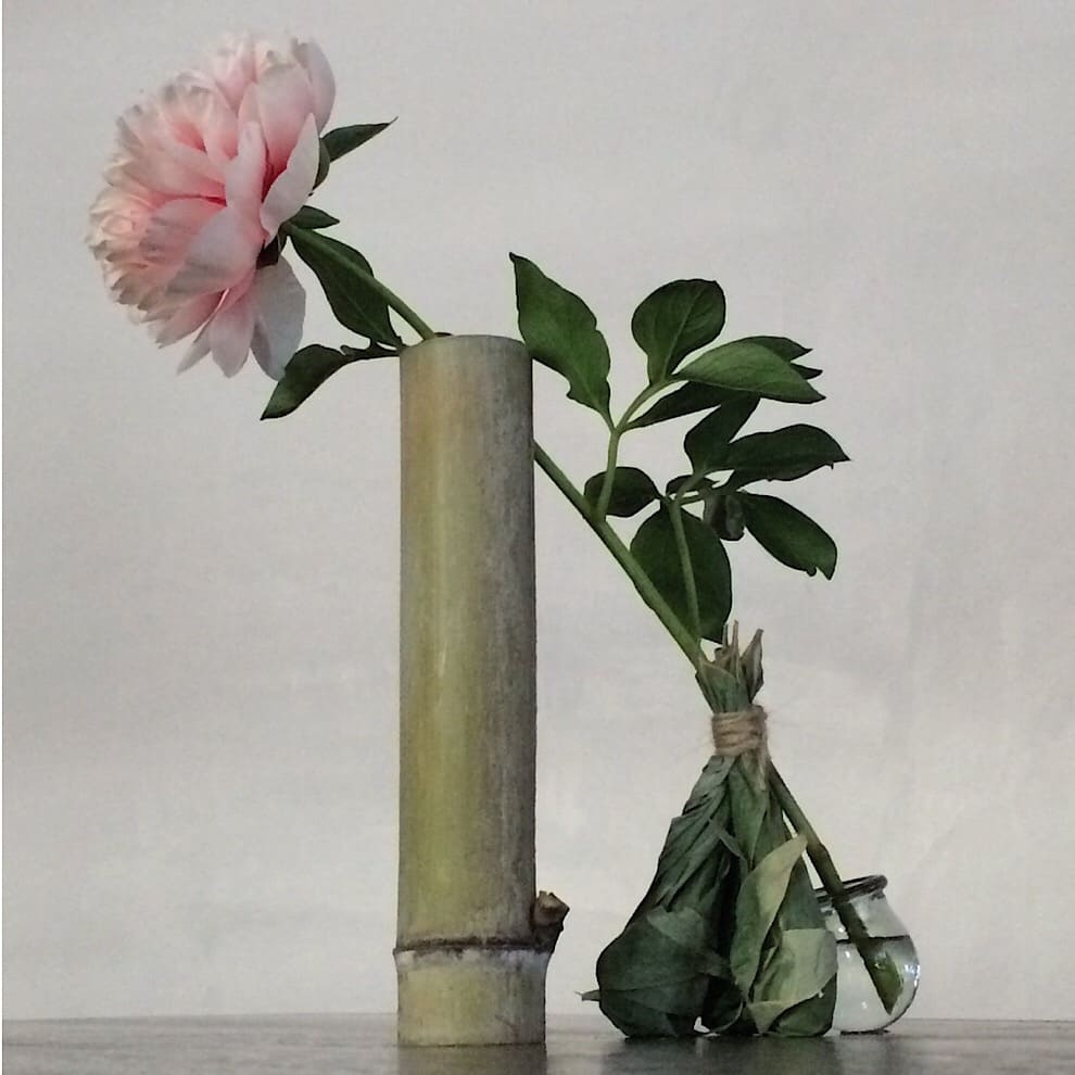 19ss_journal_yamagami_09.jpg